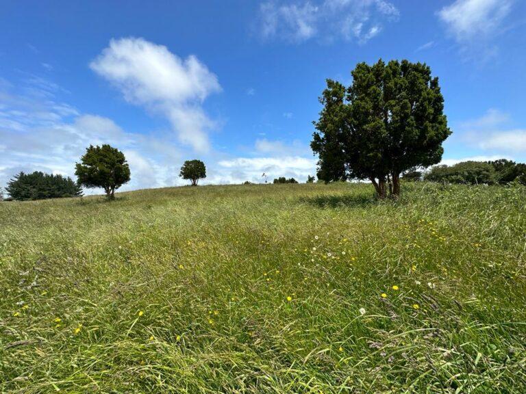 b9fb5440-3e5d-4727-a8f5-9ec68f30eb98