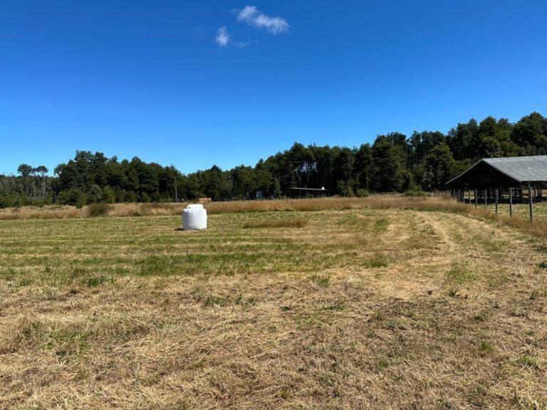 Parcelas Bosques de Monteverde, Puerto Montt