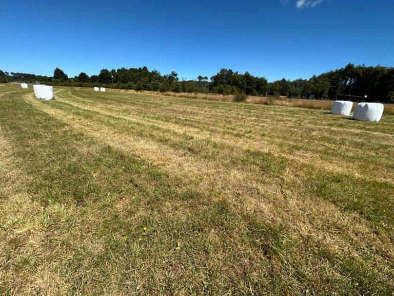 Parcelas Bosques de Monteverde, Puerto Montt