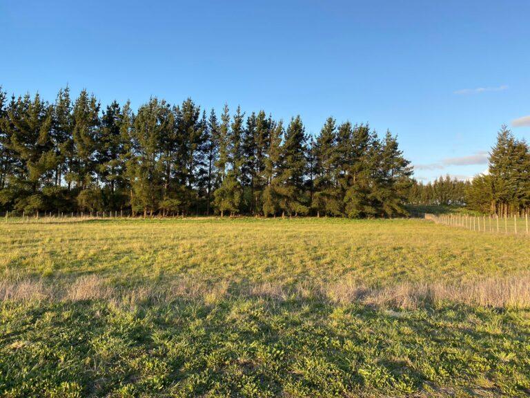 Parcela urbanizada en Frutillar