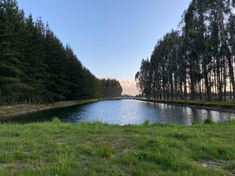 Parcela urbanizada en Frutillar