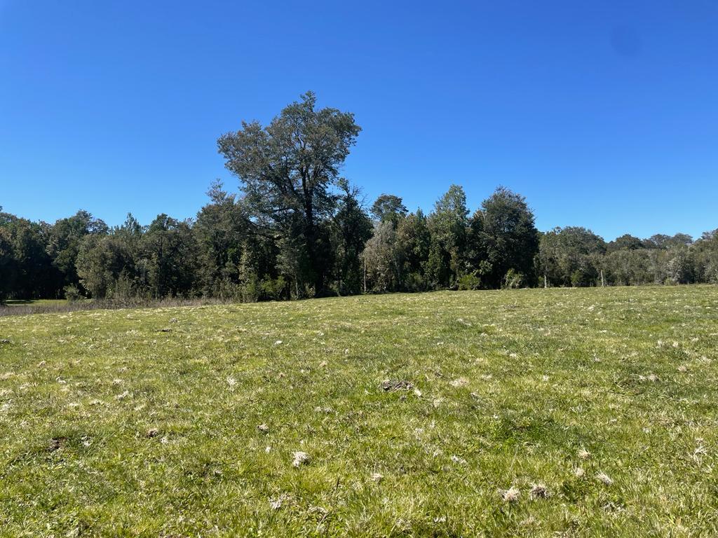 Parcelas Cumbre de Maullín