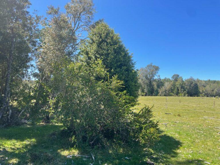 Parcelas Cumbre de Maullín