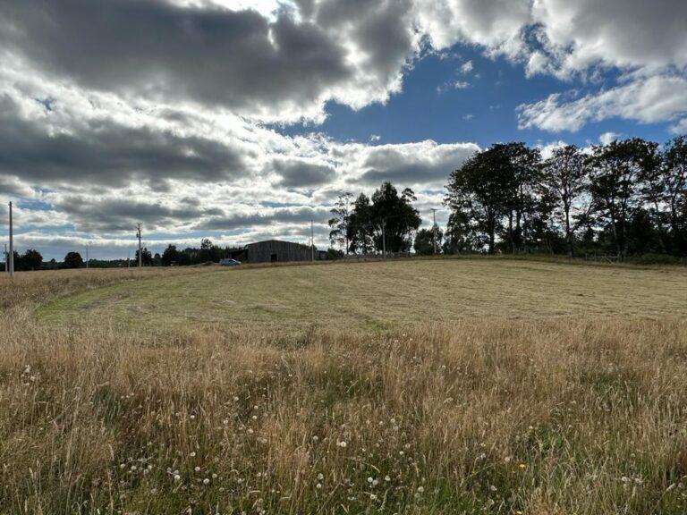 parcelas en el sector de Ilque