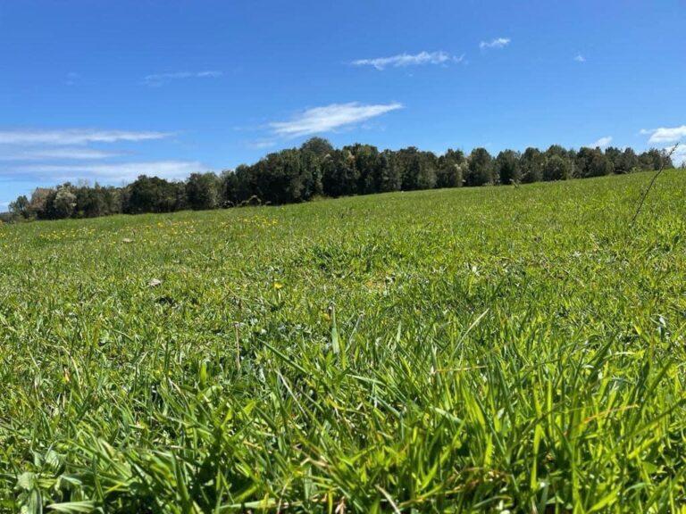 cd8f49be-cc09-40f0-83ee-a7146f9c363e